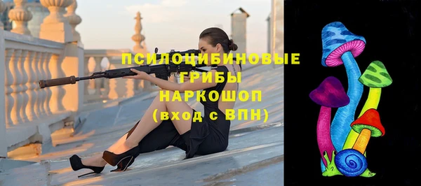 стафф Армянск