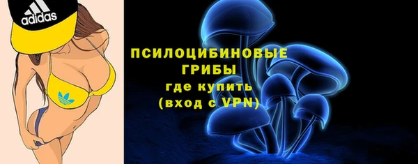 стафф Армянск