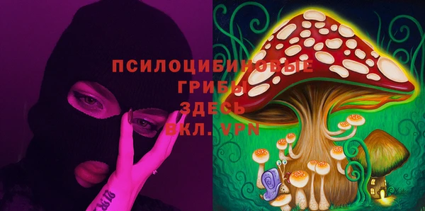 стафф Армянск