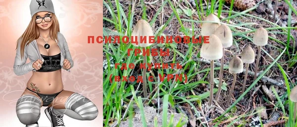 стафф Армянск