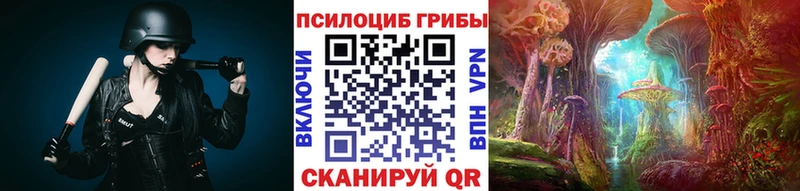 Псилоцибиновые грибы ЛСД  omg ССЫЛКА  Сухой Лог  darknet официальный сайт  закладки 